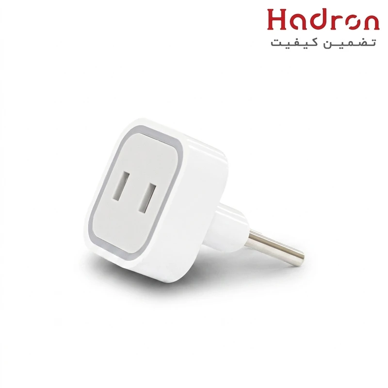 Hadron